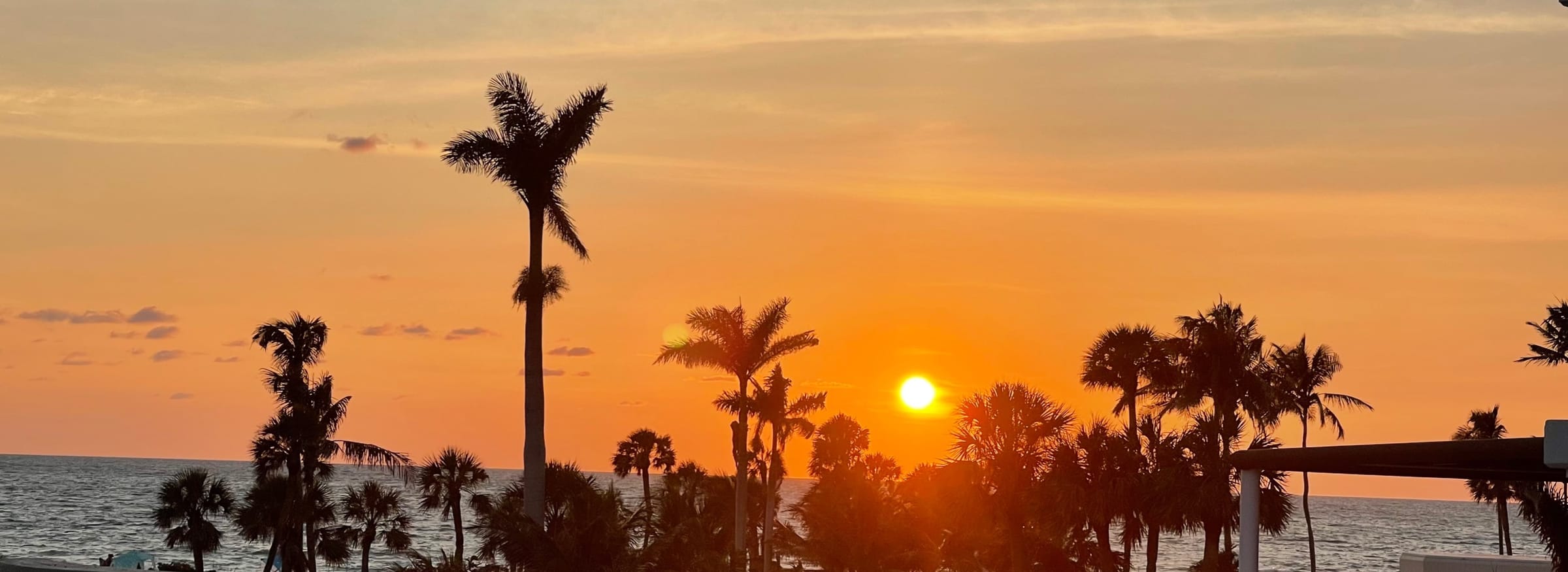 Sunset over the palms on the Naples Gulf coast